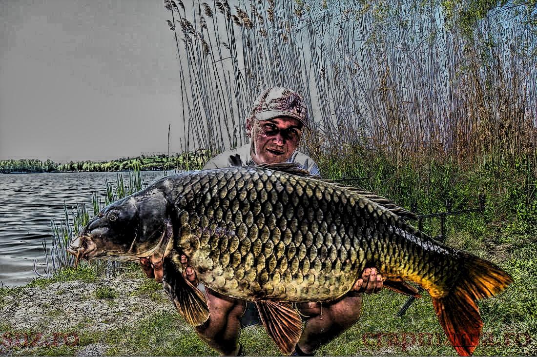 Trofeul Tancabesti - 2013 - 1010176hdrmode2.jpg